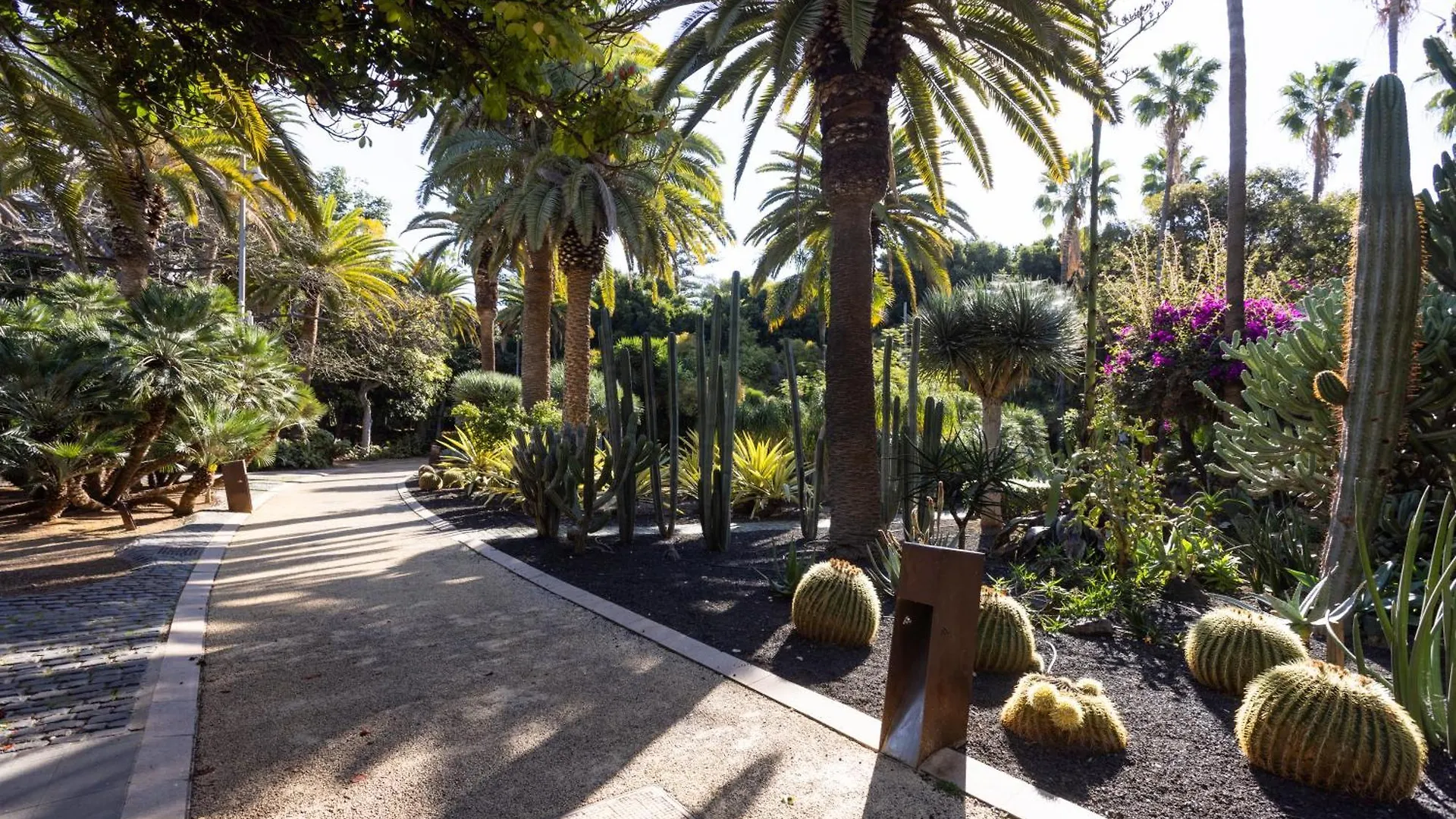 Home2Book Stylish Sea Views Studio Santa Cruz Διαμέρισμα